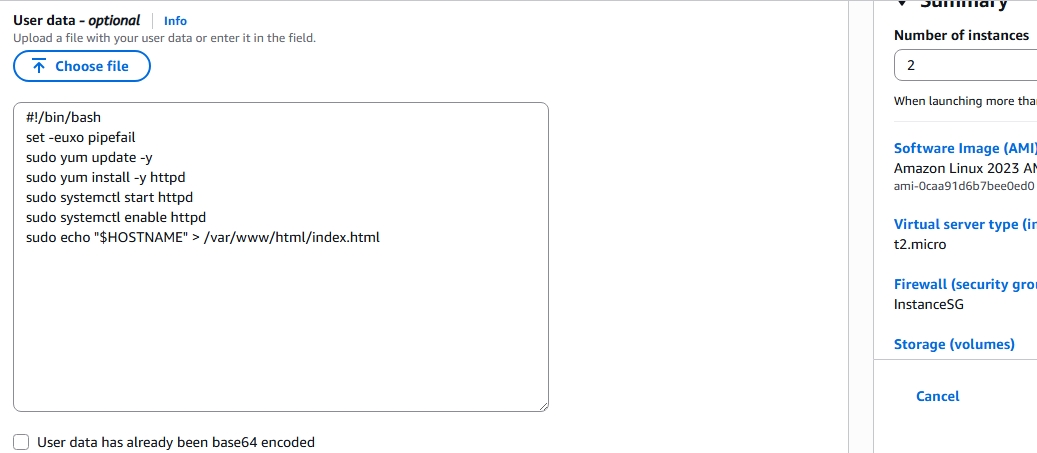 Instance User Data
